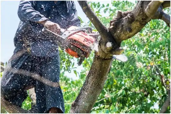 tree services Blue River
